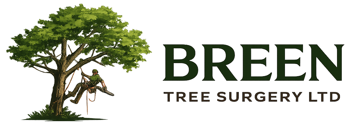 Breen Tree Surgery Ltd